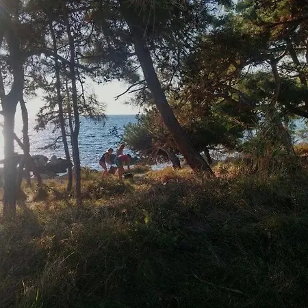 Sea View Next To A Meadow Savudrija