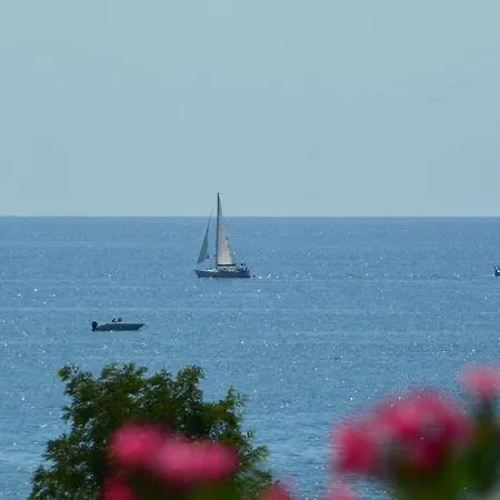 Sea View Next To A Meadow Apartament
