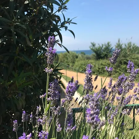 Apartament Sea View Next To A Meadow Savudrija